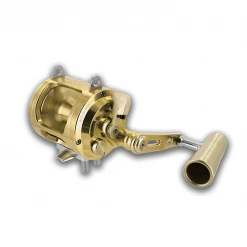 Saltwater Alutecnos Albacore 12 Conventional Reel, AL01200M