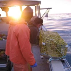 Grundens Brigg 40 Parka Commercial Fishing Jackets Apparel