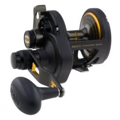 PENN® Fathom® Lever Drag 2 Speed Reel Saltwater