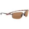 Apparel Serengeti Rotolare Sunglasse #7479