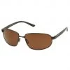 Serengeti Trapani Polarized Sunglasses Apparel