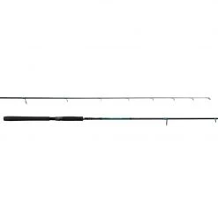 Shimano | Inshore | Teramar PX South East Spinning Rod