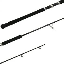 Shimano | Saltwater | Terez Casting Rod