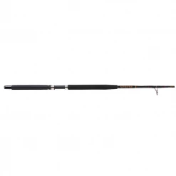 Saltwater Star Rods | Aerial | Stand-Up Spinning & Conventional Rods