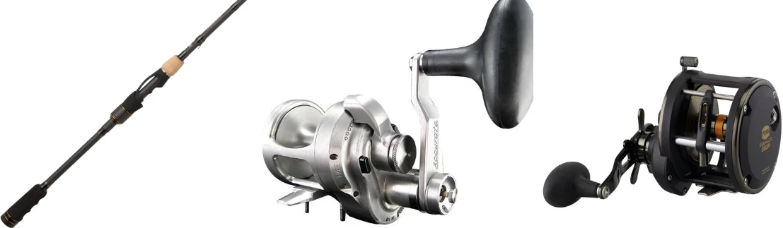 Justforfishing Elegant shop -Justforfishing Elegant shop